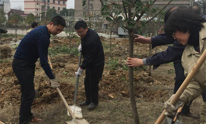 公司組織開(kāi)展植樹(shù)活動(dòng)為企業(yè)增綠添彩